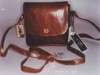 Ladies Handbag (LHB-31)